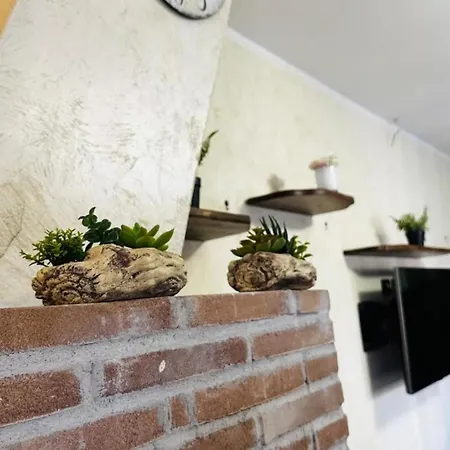 House Fiumicino